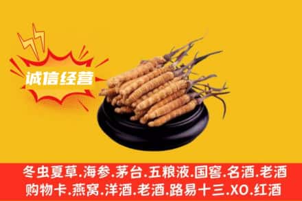 遂宁回收冬虫夏草